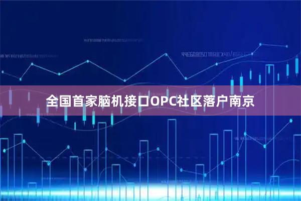 全国首家脑机接口OPC社区落户南京