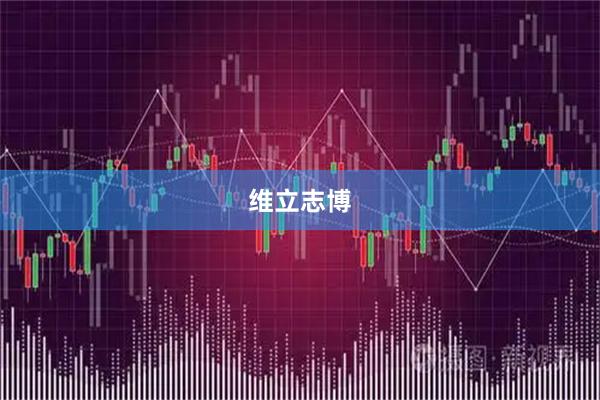 维立志博