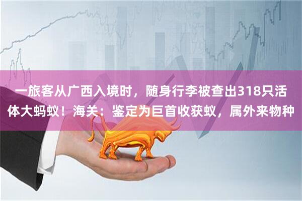 一旅客从广西入境时，随身行李被查出318只活体大蚂蚁！海关：鉴定为巨首收获蚁，属外来物种