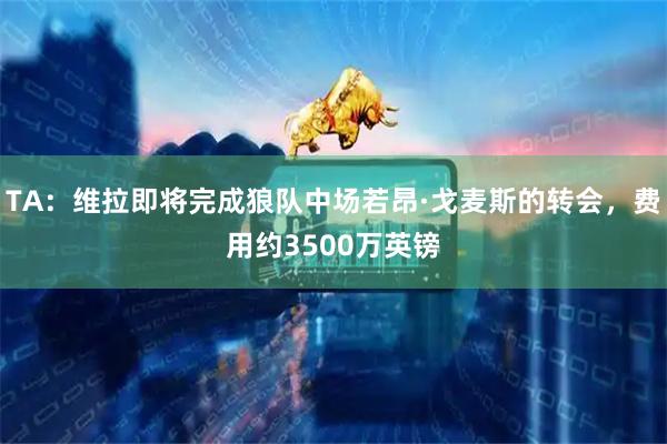 TA:维拉即将完成狼队中场若昂·戈麦斯的转会,费用约3500万英镑