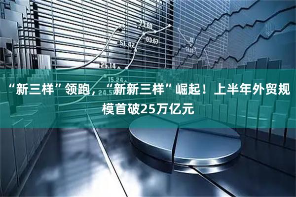 “新三样”领跑，“新新三样”崛起！上半年外贸规模首破25万亿元