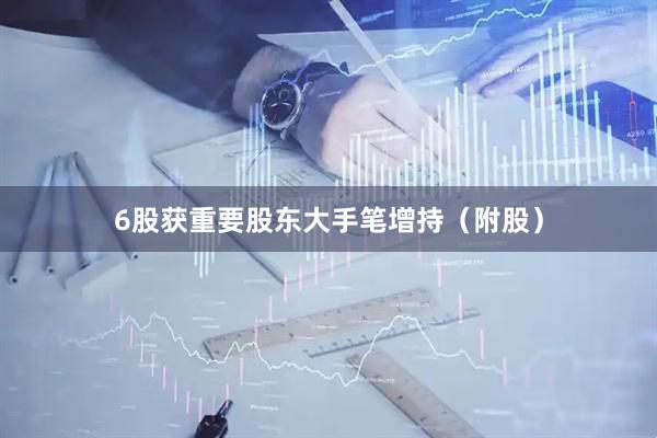 6股获重要股东大手笔增持（附股）